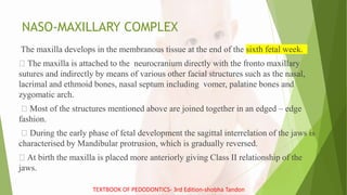 NASO-MAXILLARY COMPLEX
The maxilla develops in the membranous tissue at the end of the sixth fetal week.
The maxilla is attached to the neurocranium directly with the fronto maxillary
sutures and indirectly by means of various other facial structures such as the nasal,
lacrimal and ethmoid bones, nasal septum including vomer, palatine bones and
zygomatic arch.
Most of the structures mentioned above are joined together in an edged – edge
fashion.
During the early phase of fetal development the sagittal interrelation of the jaws is
characterised by Mandibular protrusion, which is gradually reversed.
At birth the maxilla is placed more anteriorly giving Class II relationship of the
jaws.
TEXTBOOK OF PEDODONTICS- 3rd Edition-shobha Tandon
 