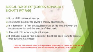 BUCCAL PAD OF FAT [CORPUS ADIPOSUM /
BICHAT’S FAT PAD]
 It is a child reserve of energy.
 child cheek prominence giving a chubby appearance.
 It is formed of a firm encapsulated mass of fat lying between the
subcutaneous fat and the muscle of the cheek.
 Its exact role in suckling is not known.
 It probably plays no role in suckling, but it has been found to regress
once suckling has ceased
Carlo WA. The newborn infant. In: Kliegman RM, Stanton BF, St. Geme JW, Schor NF, eds.
Nelson Textbook of Pediatrics. 20th ed. Philadelphia, PA: Elsevier; 2016:chap 94.
 