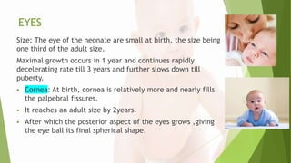 EYES
Size: The eye of the neonate are small at birth, the size being
one third of the adult size.
Maximal growth occurs in 1 year and continues rapidly
decelerating rate till 3 years and further slows down till
puberty.
 Cornea: At birth, cornea is relatively more and nearly fills
the palpebral fissures.
 It reaches an adult size by 2years.
 After which the posterior aspect of the eyes grows ,giving
the eye ball its final spherical shape.
 