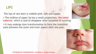 LIPS
The lips of new born is reddish pink, soft and supple.
The midline of upper lip has a small projections, the labial
tubercle, which is said to disappear after cessation of suckling.
It may undergo slow transformation to form the transition
zone between the outer and inner aspect after one year.
TEXTBOOK OF PEDODONTICS- 3rd Edition- Shobha Tandon
 