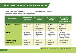 Pupuk 1600 gram NPKMg (12 : 12 : 17 : 2) per tahun per tanaman.
Pemberian pupuk dibagi 3–4 kali per tahun
PEMUPUKANTANAMAN PRODUKTIF
Keterangan: 1 sendok makan (sdm) = 20–30 gram
Keterangan Pemupukan
pertama
Pemupukan
kedua
Pemupukan
ketiga
Pemupukan
keempat
(musim kemarau)
PemupukanPemupukan Pemupukan
(musim kemarau)
Waktu pemberian
Dosis
Kondisi yang
disarankan
480 gram
(24 sendok
makan)
30–40 hari
dari
pemupukan
pertama
Tajar
dipangkas
ringan
320 gram
(16 sendok
makan)
30–40 hari
dari
pemupukan
kedua
Tajar
dipangkas
ringan
160 gram
(8 sendok makan)
Ditambah pupuk
kandang 5–10 kg
30–40 hari
dari
pemupukan
ketiga
Tajar disisakan
2–3 cabang
Awal musim
hujan
640 gram
(32 sendok
makan)
Tajar
dipangkas
semua
21
 