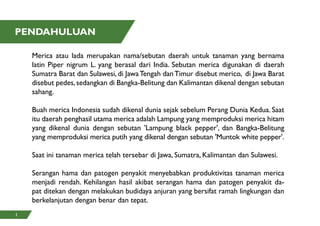 PENDAHULUAN
Merica atau lada merupakan nama/sebutan daerah untuk tanaman yang bernama
latin Piper nigrum L. yang berasal dari India. Sebutan merica digunakan di daerah
Sumatra Barat dan Sulawesi, di JawaTengah danTimur disebut merico, di Jawa Barat
disebut pedes,sedangkan di Bangka-Belitung dan Kalimantan dikenal dengan sebutan
sahang.
Buah merica Indonesia sudah dikenal dunia sejak sebelum Perang Dunia Kedua. Saat
itu daerah penghasil utama merica adalah Lampung yang memproduksi merica hitam
yang dikenal dunia dengan sebutan 'Lampung black pepper', dan Bangka-Belitung
yang memproduksi merica putih yang dikenal dengan sebutan 'Muntok white pepper'.
Saat ini tanaman merica telah tersebar di Jawa, Sumatra, Kalimantan dan Sulawesi.
Serangan hama dan patogen penyakit menyebabkan produktivitas tanaman merica
menjadi rendah. Kehilangan hasil akibat serangan hama dan patogen penyakit da-
pat ditekan dengan melakukan budidaya anjuran yang bersifat ramah lingkungan dan
berkelanjutan dengan benar dan tepat.
1
 