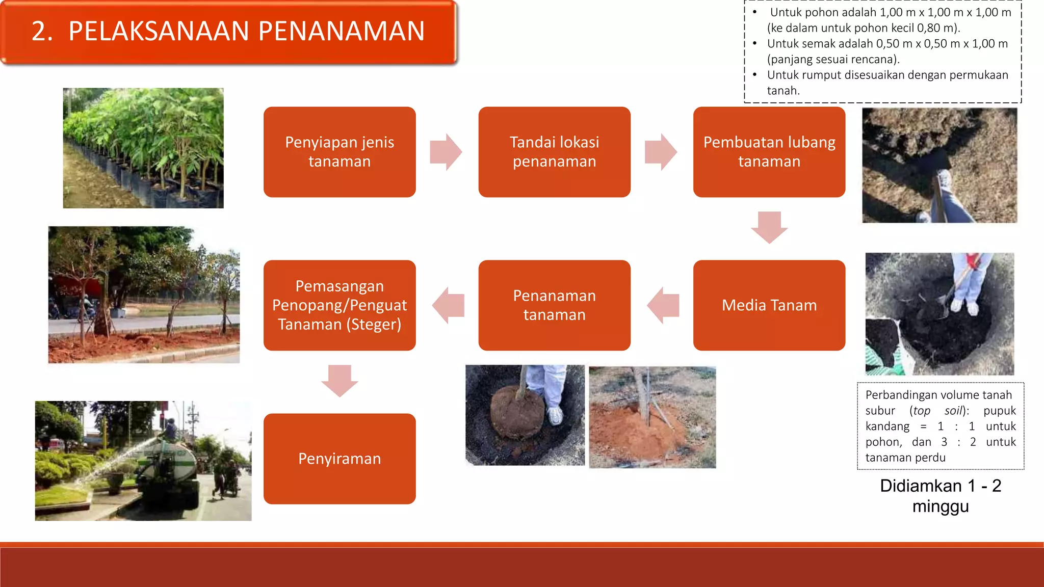 PEDOMAN PENANAMAN POHON PADA SISTEM JARINGAN JALAN | PPTX