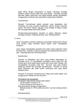 TTG BUDIDAYA PERIKANAN

dapat dilihat dengan pengamatan di bawah mikroskop terhadap
preparat usapan (smear) pada ikan yang diobati. Serangan penyakit
sekunder seperti kebusukan sirip dapat dicegah dengan pengobatan
menggunakan acriflavine atau pemandian mengunakan antibiotic.
- Trychodiniasis
Penyakit Trychodiniasis adalah penyakit yang disebabkan oleh
Trichodina sp suatu protozoa bebrbentuk cakram dengan diameter
sekitar 100 mikron dengan "gigi-gigi" yang terdapat di bagian tengah
dan cilia pada bagian permukaan bawah.
Pemberantasan/pencegahan penyakit ini dapat dilakukan seperti
terhadap serangan "Cryptocaryoniasis" atau "Brooklynelliasis".
d. Jamur
Jamur merupakan tumbuhan sederhana yang tidak membutuhkan cahaya
untuk tumbuh, tetapi memakan bahan organik untuk mendapatkan
energinya.
Jamur dapat menyebabkan penyakit bila tumbuh pada organisme hidup
termasuk ikan. Dewasa ini ada dua penyakit ikan yang berasal dari jamur,
yaitu : Saprolegniasis dan Ichthyosporidosis.
- Saproleniasis
Penyakit ini disebabkan oleh jamur yang disebut Saprolegnia sp.
Serangan jamur ini menyebabkan perubahan warna pada kulit dan
tumbuh jamur putih keabu-abuan yang makin lama makin melebar, dan
menyebabkan kerusakan pada otot. Ikan-ikan yang sakit tersebut
sebaiknya diambil dari kurungan pemeliharaan. Penyakit ini jarang
sekali ditemukan dan tidak mudah menyerang ikan yang dalam
keadaan sehat.
Penyakit ini terutama menyerang ikan kakap putih pada bagian sirip
punggung dan melebar ke arah sirip ekor.
Pencegahan dan pengobatan
Pengobatan dapat dicoba dengan jalan diolesi :
* Larutan yodium Tincture 0,1%
* Larutan Potassium Dichromat 1%
Atau perendaman dengan menggunakan :
* Methylene blew 0,1 PPM, selama kira-kira 1 jam dan diulangi selama
3 hari.
- Ichthyosporidosis
Hal. 9/ 14
Kantor Deputi Menegristek Bidang Pendayagunaan dan Pemasyarakatan Ilmu Pengetahuan dan Teknologi
Gedung II BPP Teknologi Lantai 6, Jl. M.H. Thamrin 8 Jakarta 10340
Tel. 021 316 9166~69, Fax. 021 316 1952, http://www.ristek.go.id

 