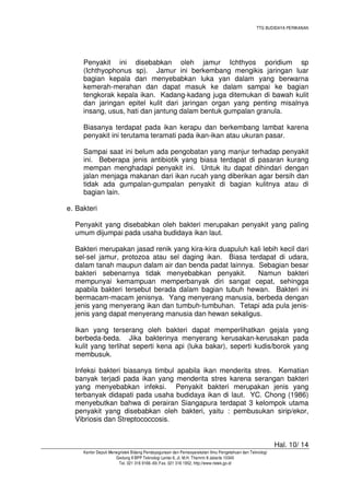 TTG BUDIDAYA PERIKANAN

Penyakit ini disebabkan oleh jamur Ichthyos poridium sp
(Ichthyophonus sp). Jamur ini berkembang mengikis jaringan luar
bagian kepala dan menyebabkan luka yan dalam yang berwarna
kemerah-merahan dan dapat masuk ke dalam sampai ke bagian
tengkorak kepala ikan. Kadang-kadang juga ditemukan di bawah kulit
dan jaringan epitel kulit dari jaringan organ yang penting misalnya
insang, usus, hati dan jantung dalam bentuk gumpalan granula.
Biasanya terdapat pada ikan kerapu dan berkembang lambat karena
penyakit ini terutama teramati pada ikan-ikan atau ukuran pasar.
Sampai saat ini belum ada pengobatan yang manjur terhadap penyakit
ini. Beberapa jenis antibiotik yang biasa terdapat di pasaran kurang
mempan menghadapi penyakit ini. Untuk itu dapat dihindari dengan
jalan menjaga makanan dari ikan rucah yang diberikan agar bersih dan
tidak ada gumpalan-gumpalan penyakit di bagian kulitnya atau di
bagian lain.
e. Bakteri
Penyakit yang disebabkan oleh bakteri merupakan penyakit yang paling
umum dijumpai pada usaha budidaya ikan laut.
Bakteri merupakan jasad renik yang kira-kira duapuluh kali lebih kecil dari
sel-sel jamur, protozoa atau sel daging ikan. Biasa terdapat di udara,
dalam tanah maupun dalam air dan benda padat lainnya. Sebagian besar
bakteri sebenarnya tidak menyebabkan penyakit.
Namun bakteri
mempunyai kemampuan memperbanyak diri sangat cepat, sehingga
apabila bakteri tersebut berada dalam bagian tubuh hewan. Bakteri ini
bermacam-macam jenisnya. Yang menyerang manusia, berbeda dengan
jenis yang menyerang ikan dan tumbuh-tumbuhan. Tetapi ada pula jenisjenis yang dapat menyerang manusia dan hewan sekaligus.
Ikan yang terserang oleh bakteri dapat memperlihatkan gejala yang
berbeda-beda. Jika bakterinya menyerang kerusakan-kerusakan pada
kulit yang terlihat seperti kena api (luka bakar), seperti kudis/borok yang
membusuk.
Infeksi bakteri biasanya timbul apabila ikan menderita stres. Kematian
banyak terjadi pada ikan yang menderita stres karena serangan bakteri
yang menyebabkan infeksi. Penyakit bakteri merupakan jenis yang
terbanyak didapati pada usaha budidaya ikan di laut. YC. Chong (1986)
menyebutkan bahwa di perairan Siangapura terdapat 3 kelompok utama
penyakit yang disebabkan oleh bakteri, yaitu : pembusukan sirip/ekor,
Vibriosis dan Streptococcosis.

Hal. 10/ 14
Kantor Deputi Menegristek Bidang Pendayagunaan dan Pemasyarakatan Ilmu Pengetahuan dan Teknologi
Gedung II BPP Teknologi Lantai 6, Jl. M.H. Thamrin 8 Jakarta 10340
Tel. 021 316 9166~69, Fax. 021 316 1952, http://www.ristek.go.id

 