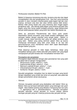 TTG BUDIDAYA PERIKANAN

- Pembusukan sirip/ekor (Bakteri Fin Rot)
Bakteri ini biasanya menyerang sirip-sirip, terutama sirip ekor dan dapat
mengakibatkan luka dan pengelupasan kulit. Ikan-ikan yang terserang
penyakit ini akan menalami luka/kerusakan pada bagian tepi dan siripsiripnya, termasuk sirip ekor dan akan terkikis secara tidak teratur.
Bahkan tidak jarang terjadi sirip yang terserang akan tinggal bagian
pengkalnya saja. Jika diamati pada bagian yang terkena penyakit atau
bagian yang luka hanya sedikit terdapat protozoa, tetapi diketemukan
banyak sekali populasi bakteri yang terdiri dari bakteri Mycobacter sp.
Vibrio sp, jenis-jenis Pseudomonas dan Cocci gram positif.
Diperkitakan bahwa kerusakan yang terjadi tersebut diakibatkan oleh
serangan bakteri dengan populasi yang sangat padat. Bakteri ini
mudah menular lewat luka-luka ikan yang lain akibat sentuhan ekor
yang sakit. Bakteri yang paling dominan adalah Vibro sp karena
mempunyai kemampuan yang baik untuk hidup di air laut dan
pertumbuhannya untuk membentuk koloni lebih cepat dibandingkan
dengan bakteri yang lain.
Pada dasarnya penyakit ini tidak begitu berbahaya, tetapi yang
menjadikan bahaya justru infeksi sekunder jenis bakteri lain yang dapat
memperparah penyakit tersebut dan menyebabkan kematian ikan.
Pencegahan dan pengobatan
Pencegahan dapat dilakukan dengan jalan perendaman ikan yang sakit
ke dalam bak air dengan menggunakan :
* Nitrofurozone 15 ppm, selama 3 - 4 jam.
* Suplhonamide 50 ppm, selama 3 - 4 jam.
* Neomycin sulphate 50 ppm, selama 1 - 2 jam.
* Chloramphenicol 50 ppm, selama 1 - 2 jam.
* Acriflavine 100 ppm, selama 1 menit.
Sesudah pengobatan, tempatkan ikan ke dalam kurungan yang bersih
dengan kepadatan yang rendah dan aliran air yang baik, atau pada bak
dengan penambahan aerasi secukupnya.
- Vibriosis
Vibriosis merupakan penyakit yang disebabkan oleh bakteri Vibrio sp.
Bakteri Vibrio sp termasuk kelompok bakteri yang heterogen dan gram
negatif. Ada 2 bakteri penting yang diketahui menyerang ikan laut yaitu
: V. alginolyticus dan V. parahaemollyticus. Vibriosisi merupakan
penyakit sekunder, artinya penyakit ini muncul setelah adanya
serangan penyakit yang lain misalnya protozoa atau penyakit lainnya.

Hal. 11/ 14
Kantor Deputi Menegristek Bidang Pendayagunaan dan Pemasyarakatan Ilmu Pengetahuan dan Teknologi
Gedung II BPP Teknologi Lantai 6, Jl. M.H. Thamrin 8 Jakarta 10340
Tel. 021 316 9166~69, Fax. 021 316 1952, http://www.ristek.go.id

 