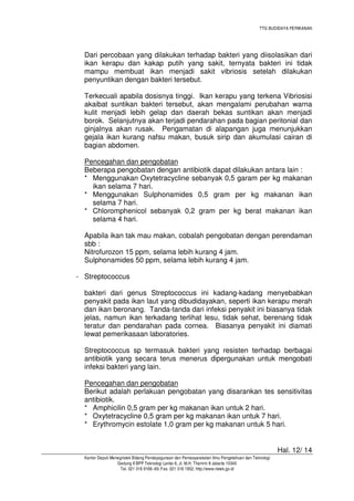 TTG BUDIDAYA PERIKANAN

Dari percobaan yang dilakukan terhadap bakteri yang diisolasikan dari
ikan kerapu dan kakap putih yang sakit, ternyata bakteri ini tidak
mampu membuat ikan menjadi sakit vibriosis setelah dilakukan
penyuntikan dengan bakteri tersebut.
Terkecuali apabila dosisnya tinggi. Ikan kerapu yang terkena Vibriosisi
akaibat suntikan bakteri tersebut, akan mengalami perubahan warna
kulit menjadi lebih gelap dan daerah bekas suntikan akan menjadi
borok. Selanjutnya akan terjadi pendarahan pada bagian peritonial dan
ginjalnya akan rusak. Pengamatan di alapangan juga menunjukkan
gejala ikan kurang nafsu makan, busuk sirip dan akumulasi cairan di
bagian abdomen.
Pencegahan dan pengobatan
Beberapa pengobatan dengan antibiotik dapat dilakukan antara lain :
* Menggunakan Oxytetracycline sebanyak 0,5 garam per kg makanan
ikan selama 7 hari.
* Menggunakan Sulphonamides 0,5 gram per kg makanan ikan
selama 7 hari.
* Chloromphenicol sebanyak 0,2 gram per kg berat makanan ikan
selama 4 hari.
Apabila ikan tak mau makan, cobalah pengobatan dengan perendaman
sbb :
Nitrofurozon 15 ppm, selama lebih kurang 4 jam.
Sulphonamides 50 ppm, selama lebih kurang 4 jam.
- Streptococcus
bakteri dari genus Streptococcus ini kadang-kadang menyebabkan
penyakit pada ikan laut yang dibudidayakan, seperti ikan kerapu merah
dan ikan beronang. Tanda-tanda dari infeksi penyakit ini biasanya tidak
jelas, namun ikan terkadang terlihat lesu, tidak sehat, berenang tidak
teratur dan pendarahan pada cornea. Biasanya penyakit ini diamati
lewat pemerikasaan laboratories.
Streptococcus sp termasuk bakteri yang resisten terhadap berbagai
antibiotik yang secara terus menerus dipergunakan untuk mengobati
infeksi bakteri yang lain.
Pencegahan dan pengobatan
Berikut adalah perlakuan pengobatan yang disarankan tes sensitivitas
antibiotik.
* Amphicilin 0,5 gram per kg makanan ikan untuk 2 hari.
* Oxytetracycline 0,5 gram per kg makanan ikan untuk 7 hari.
* Erythromycin estolate 1,0 gram per kg makanan untuk 5 hari.

Hal. 12/ 14
Kantor Deputi Menegristek Bidang Pendayagunaan dan Pemasyarakatan Ilmu Pengetahuan dan Teknologi
Gedung II BPP Teknologi Lantai 6, Jl. M.H. Thamrin 8 Jakarta 10340
Tel. 021 316 9166~69, Fax. 021 316 1952, http://www.ristek.go.id

 