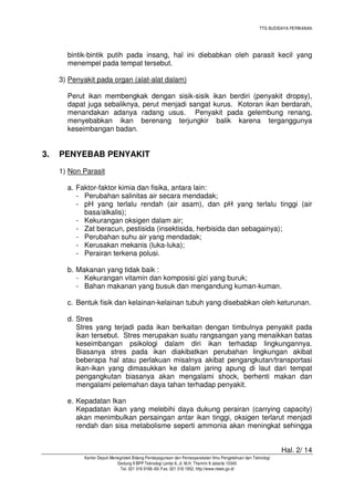 TTG BUDIDAYA PERIKANAN

bintik-bintik putih pada insang, hal ini diebabkan oleh parasit kecil yang
menempel pada tempat tersebut.
3) Penyakit pada organ (alat-alat dalam)
Perut ikan membengkak dengan sisik-sisik ikan berdiri (penyakit dropsy),
dapat juga sebaliknya, perut menjadi sangat kurus. Kotoran ikan berdarah,
menandakan adanya radang usus. Penyakit pada gelembung renang,
menyebabkan ikan berenang terjungkir balik karena terganggunya
keseimbangan badan.

3.

PENYEBAB PENYAKIT
1) Non Parasit
a. Faktor-faktor kimia dan fisika, antara lain:
- Perubahan salinitas air secara mendadak;
- pH yang terlalu rendah (air asam), dan pH yang terlalu tinggi (air
basa/alkalis);
- Kekurangan oksigen dalam air;
- Zat beracun, pestisida (insektisida, herbisida dan sebagainya);
- Perubahan suhu air yang mendadak;
- Kerusakan mekanis (luka-luka);
- Perairan terkena polusi.
b. Makanan yang tidak baik :
- Kekurangan vitamin dan komposisi gizi yang buruk;
- Bahan makanan yang busuk dan mengandung kuman-kuman.
c. Bentuk fisik dan kelainan-kelainan tubuh yang disebabkan oleh keturunan.
d. Stres
Stres yang terjadi pada ikan berkaitan dengan timbulnya penyakit pada
ikan tersebut. Stres merupakan suatu rangsangan yang menaikkan batas
keseimbangan psikologi dalam diri ikan terhadap lingkungannya.
Biasanya stres pada ikan diakibatkan perubahan lingkungan akibat
beberapa hal atau perlakuan misalnya akibat pengangkutan/transportasi
ikan-ikan yang dimasukkan ke dalam jaring apung di laut dari tempat
pengangkutan biasanya akan mengalami shock, berhenti makan dan
mengalami pelemahan daya tahan terhadap penyakit.
e. Kepadatan Ikan
Kepadatan ikan yang melebihi daya dukung perairan (carrying capacity)
akan menimbulkan persaingan antar ikan tinggi, oksigen terlarut menjadi
rendah dan sisa metabolisme seperti ammonia akan meningkat sehingga
Hal. 2/ 14
Kantor Deputi Menegristek Bidang Pendayagunaan dan Pemasyarakatan Ilmu Pengetahuan dan Teknologi
Gedung II BPP Teknologi Lantai 6, Jl. M.H. Thamrin 8 Jakarta 10340
Tel. 021 316 9166~69, Fax. 021 316 1952, http://www.ristek.go.id

 