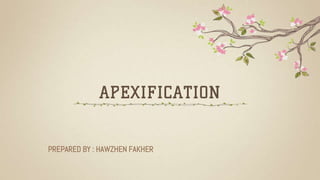 APEXIFICATION
PREPARED BY : HAWZHEN FAKHER
 