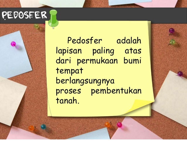 Pedosfer Tanah Geografi Kelas X