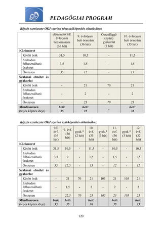 PEDAGÓGIAI PROGRAM
120
Képzés szerkezete OKJ szerinti részszakképesítés oktatásához
előkészítő 9/E
évfolyam
heti óraszám
(36 hét)
9. évfolyam
heti óraszám
(36 hét)
Összefüggő
(nyári)
gyakorlat
(2 hét)
10. évfolyam
heti óraszám
(35 hét)
Közismeret
Kötött órák 31,5 10,5 - 11,5
Szabadon
felhasználható
órakeret
3,5 1,5 - 1,5
Összesen 35 12 - 13
Szakmai elmélet és
gyakorlat
Kötött órák - 21 70 21
Szabadon
felhasználható
órakeret
- 2 - 2
Összesen - 23 70 23
Mindösszesen
(teljes képzés ideje)
heti:
35
heti:
35
-
heti:
36
Képzés szerkezete OKJ szerinti szakképesítés oktatásához
9/E
évf.
(36
hét)
9. évf.
(36
hét)
gyak.*
(2 hét)
10.
évf.
(35
hét)
gyak.*
(3 hét)
11.
évf.
(36
hét)
gyak.*
(3 hét)
12.
évf.
(32
hét)
Közismeret
Kötött órák 31,5 10,5 - 11,5 - 10,5 - 10,5
Szabadon
felhasználható
órakeret
3,5 2 - 1,5 - 1,5 - 1,5
Összesen 35 12,5 - 13 - 12 - 12
Szakmai elmélet és
gyakorlat
Kötött órák - 21 70 21 105 21 105 21
Szabadon
felhasználható
órakeret
- 1,5 - 2 - 2 - 2
Összesen - 22,5 70 23 105 23 105 23
Mindösszesen
(teljes képzés ideje)
heti:
35
heti:
35
heti:
36
heti:
35
heti:
35
 