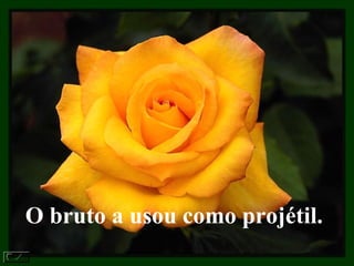 O bruto a usou como projétil.  