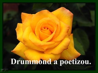 Drummond a poetizou.   