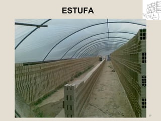 ESTUFA 
39 
 