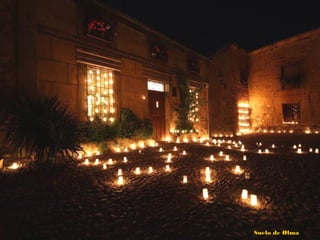 Suelo de OlmaSuelo de Olma
 