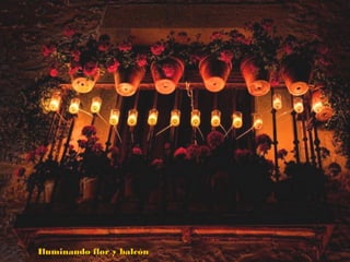 Iluminando flor y balcónIluminando flor y balcón
 