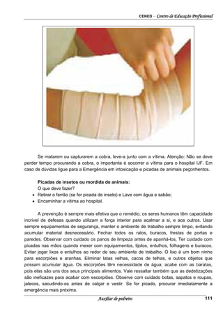 CENED – Centro de Educação Profissional
Auxiliar de pedreiro 111
Se matarem ou capturarem a cobra, leve-a junto com a vítima. Atenção: Não se deve
perder tempo procurando a cobra, o importante é socorrer a vítima para o hospital IJF. Em
caso de dúvidas ligue para a Emergência em intoxicação e picadas de animais peçonhentos.
Picadas de insetos ou mordida de animais:
O que deve fazer?
• Retirar o ferrão (se for picada de inseto) e Lave com água e sabão;
• Encaminhar a vítima ao hospital.
A prevenção é sempre mais efetiva que o remédio; os seres humanos têm capacidade
incrível de defesas quando utilizam a força interior para acalmar a si, e aos outros. Usar
sempre equipamentos de segurança, manter o ambiente de trabalho sempre limpo, evitando
acumular material desnecessário. Fechar todos os ralos, buracos, frestas de portas e
paredes. Observar com cuidado os panos de limpeza antes de apanhá-los. Ter cuidado com
picadas nas mãos quando mexer com equipamentos, tijolos, entulhos, folhagens e buracos.
Evitar jogar lixos e entulhos ao redor de seu ambiente de trabalho. O lixo é um bom ninho
para escorpiões e aranhas. Eliminar latas velhas, cacos de telhas, e outros objetos que
possam acumular água. Os escorpiões têm necessidade de água; acabe com as baratas,
pois elas são uns dos seus principais alimentos. Vale ressaltar também que as dedetizações
são ineficazes para acabar com escorpiões. Observe com cuidado botas, sapatos e roupas,
jalecos, sacudindo-os antes de calçar e vestir. Se for picado, procurar imediatamente a
emergência mais próxima.
 