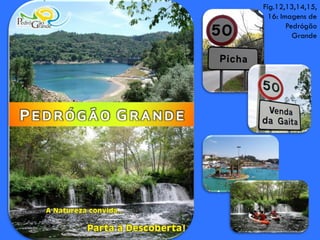 Fig.12,13,14,15,
16: Imagens de
Pedrógão
Grande
 
