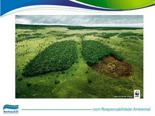 com Responsabilidade Ambiental
 