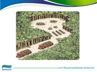 com Responsabilidade Ambiental
 