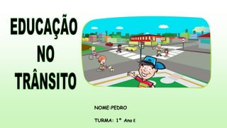 NOME:PEDRO 
TURMA: 1º Ano E 
 