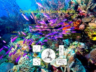 Significado de la fauna marina
Esquema simplificado de la fauna de una isla - todas sus especies animales.
Garza blanca de La Pampa.
Ñandú, autóctono de la fauna pampeana.
La faunaes el conjunto de especies animales que habitan en una región geográfica, que son propias de un período
geológico. Esta depende tanto de factores abióticos como de factores bióticos. Entre éstos sobresalen las relaciones
posibles de competencia o de depredación entre las especies. Los animales suelen ser sensibles a las perturbaciones
que alteran su hábitat; por ello, un cambio en la fauna de un ecosistema indica una alteración en uno o varios de los
factores de este.
 