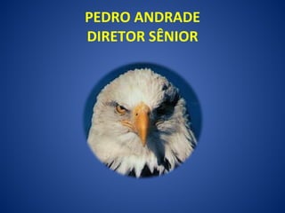 PEDRO ANDRADE DIRETOR SÊNIOR 