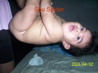 Sou Spider 