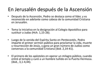 En Jerusalén después de la Ascensión
• Después de la Ascensión, Pedro se destaca como el líder, y es
reconocido en adelante como cabeza de la comunidad Cristiana
en Jerusalén.
• Toma la iniciativa en la designación al Colegio Apostólico para
sustituir a Judas (Hch. 1,15-26).
• Luego de la venida del Espíritu Santo en Pentecostés, Pedro
imparte el primer sermón público para proclamar la vida, muerte
y resurrección de Jesús, y gana un gran número de Judíos como
conversos a la comunidad Cristiana (ibid. 2,14-41).
• El primero de los apóstoles en operar un milagro público, cuando
entró al templo y curó a un hombre tullido en la Puerta Hermosa.
(ibid., 3,1-4,44).

 
