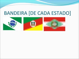 BANDEIRA [DE CADA ESTADO]
 
