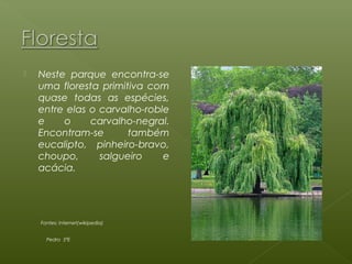    Neste parque encontra-se
    uma floresta primitiva com
    quase todas as espécies,
    entre elas o carvalho-roble
    e    o     carvalho-negral.
    Encontram-se       também
    eucalipto, pinheiro-bravo,
    choupo,      salgueiro    e
    acácia.




    Fontes: internet(wikipedia)


      Pedro 5ªE
 