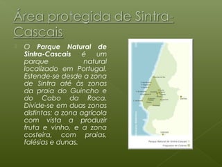    O Parque Natural de
    Sintra-Cascais    é    um
    parque             natural
    localizado em Portugal.
    Estende-se desde a zona
    de Sintra até às zonas
    da praia do Guincho e
    do Cabo da Roca.
    Divide-se em duas zonas
    distintas: a zona agrícola
    com vista a produzir
    fruta e vinho, e a zona
    costeira, com praias,
    falésias e dunas.
 