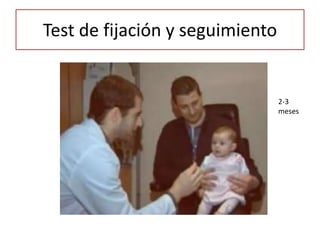Test de fijación y seguimiento
2-3
meses
 
