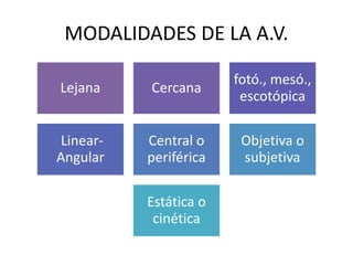 MODALIDADES DE LA A.V.
Lejana Cercana
fotó., mesó.,
escotópica
Linear-
Angular
Central o
periférica
Objetiva o
subjetiva
Estática o
cinética
 