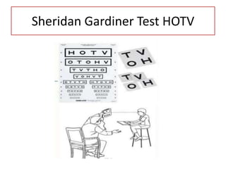 Sheridan Gardiner Test HOTV
 