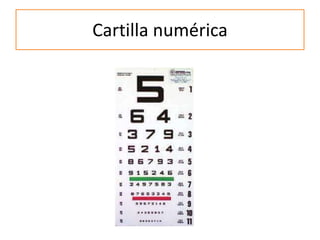 Cartilla numérica
 