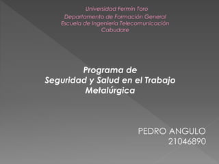 Programa de
Seguridad y Salud en el Trabajo
Metalúrgica
PEDRO ANGULO
21046890
 