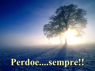Perdoe....sempre!! 