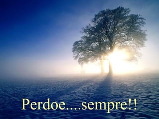 Perdoe....sempre!! 