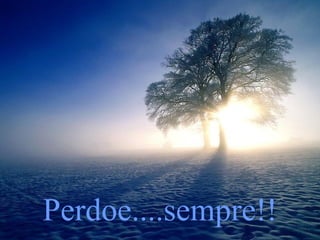 Perdoe....sempre!!

 
