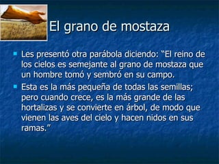 El grano de mostaza Les presentó otra parábola diciendo: “El reino de los cielos es semejante al grano de mostaza que un hombre tomó y sembró en su campo. Esta es la más pequeña de todas las semillas; pero cuando crece, es la más grande de las hortalizas y se convierte en árbol, de modo que vienen las aves del cielo y hacen nidos en sus ramas.” 