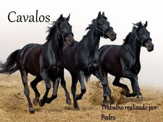 Cavalos
Trabalho realizado por:
Pedro
 