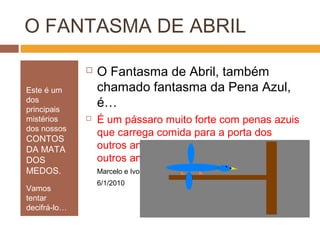 O FANTASMA DE ABRIL
Este é um
dos
principais
mistérios
dos nossos
CONTOS
DA MATA
DOS
MEDOS.
Vamos
tentar
decifrá-lo…
 O Fantasma de Abril, também
chamado fantasma da Pena Azul,
é…
 É um pássaro muito forte com penas azuis
que carrega comida para a porta dos
outros animais. Ele faz isso para ajudar os
outros animais.
Marcelo e Ivo,
6/1/2010
 