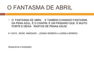 O FANTASMA DE ABRIL
 O FANTASMA DE ABRIL , E TAMBEM CHAMADO FANTASMA
DA PENA AZUL, É O CHAPIM. É UM PÁSSARO QUE É MUITO
FORTE E DEIXA RASTOS DE PENAS AZUIS.
6 12010 , DEISE MARQUES , LEINISA SEMEDO e LUDMILA SEMEDO.
(Esperamos a ilustração)
 