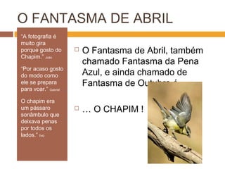 O FANTASMA DE ABRIL
“A fotografia é
muito gira
porque gosto do
Chapim.” João
“Por acaso gosto
do modo como
ele se prepara
para voar.” Gabriel
O chapim era
um pássaro
sonâmbulo que
deixava penas
por todos os
lados.” Ivo
 O Fantasma de Abril, também
chamado Fantasma da Pena
Azul, e ainda chamado de
Fantasma de Outubro é …
 … O CHAPIM !
 