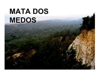 MATA DOS
MEDOS
 