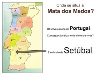 Onde se situa a
Mata dos Medos?
Observa o mapa de Portugal.
Consegues localizar o distrito onde vives?
É o distrito de Setúbal.
 