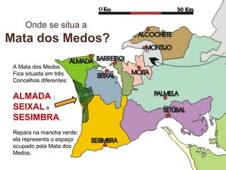 Onde se situa a
Mata dos Medos?
A Mata dos Medos
Fica situada em três
Concelhos diferentes:
ALMADA ;
SEIXAL e
SESIMBRA.
Repara na mancha verde:
ela representa o espaço
ocupado pela Mata dos
Medos.
 