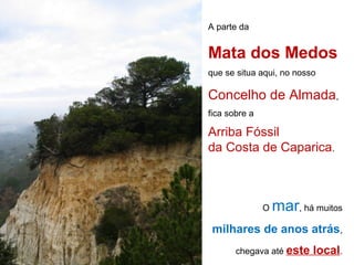 A parte da
Mata dos Medos
que se situa aqui, no nosso
Concelho de Almada,
fica sobre a
Arriba Fóssil
da Costa de Caparica.
O mar, há muitos
milhares de anos atrás,
chegava até este local.
 