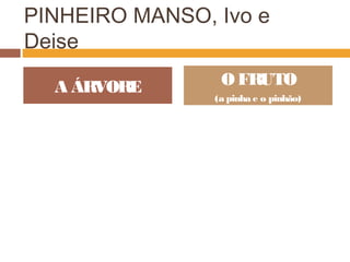 PINHEIRO MANSO, Ivo e
Deise
A ÁRVORE O FRUTO
(a pinha e o pinhão)
 